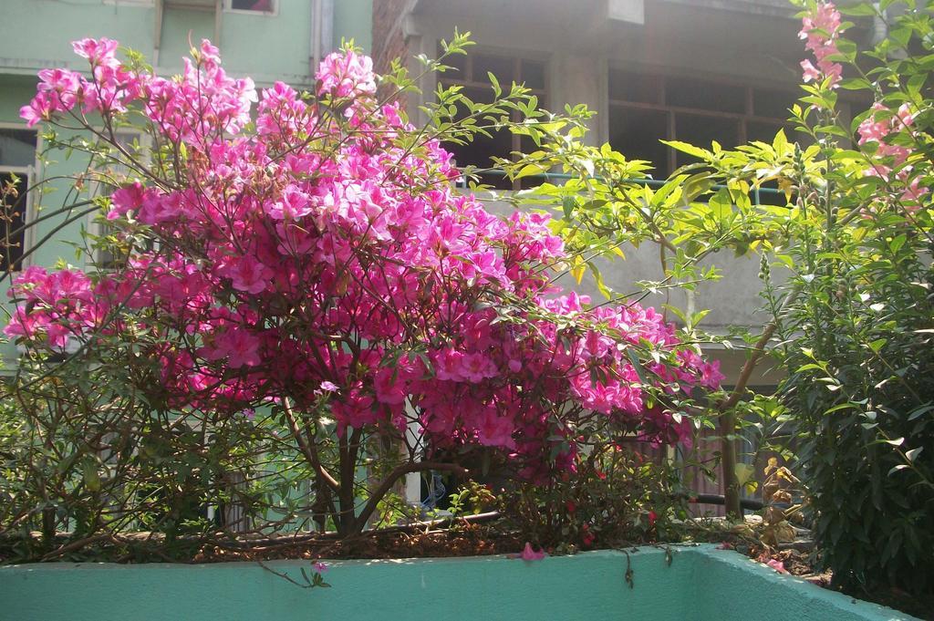 Hotel Impala Garden กาฐมาณฑุ ภายนอก รูปภาพ