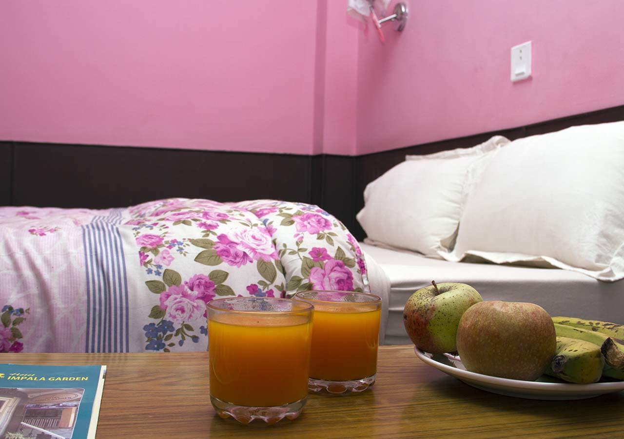 Hotel Impala Garden กาฐมาณฑุ ภายนอก รูปภาพ